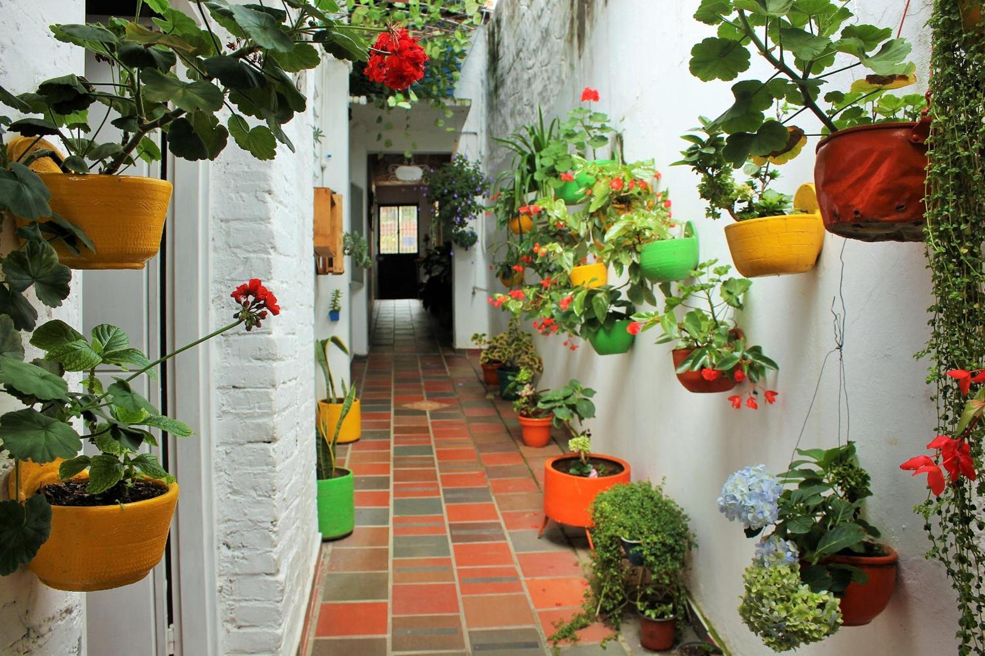 Hospedaje Los Capuchinos Socorro Extérieur photo